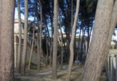 Finca rústica en venda a la España, Bunyol, ref.: TR168489 foto