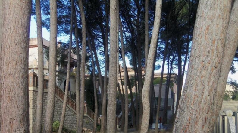 Valencia - Buñol - 3500m2
