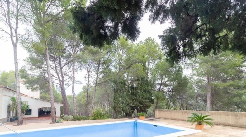 Valencia - Náquera - 14292m2