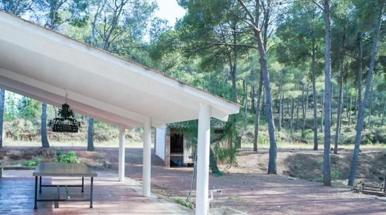 Valencia - Náquera - 14292m2