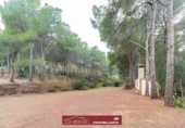 Chalet independiente con terreno en venta en la España, Náquera, ref: TR240668 foto