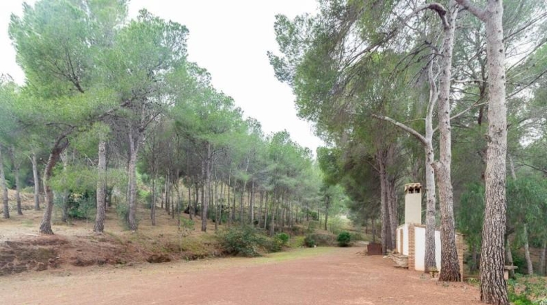 Valencia - Náquera - 14292m2