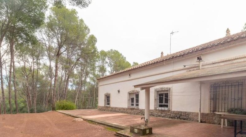 Valencia - Náquera - 14292m2