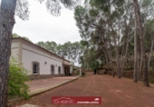 Chalet independiente con terreno en venta en la España, Náquera, ref: TR240668 foto