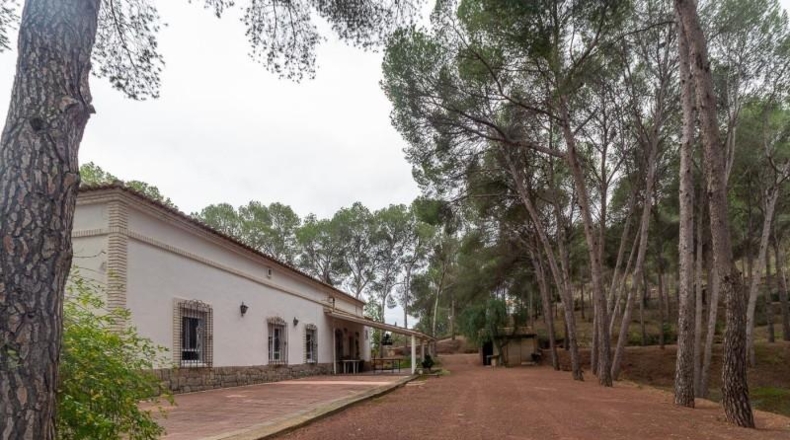 Valencia - Náquera - 14292m2