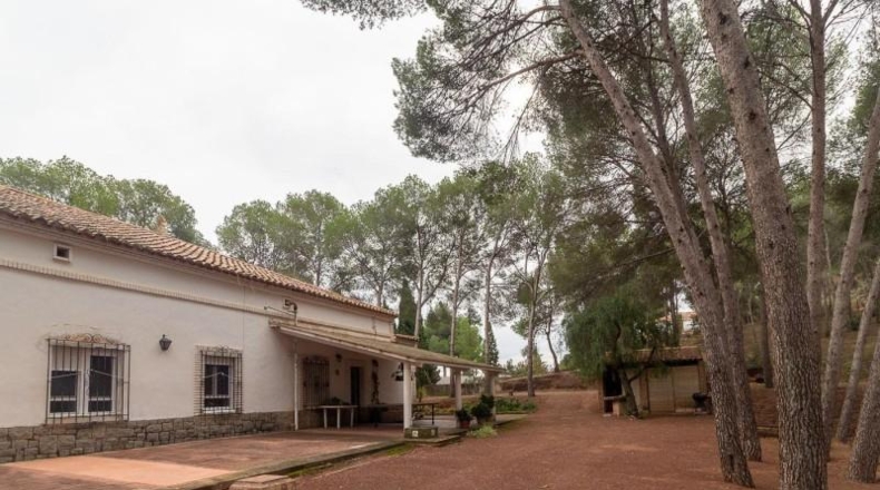 Valencia - Náquera - 14292m2
