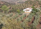 Casa de camp amb terreny en venda a la España, El Gastor, ref.: TR236735 foto