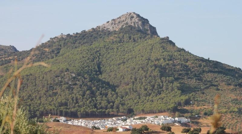 Cadiz - El Gastor - 125000m2