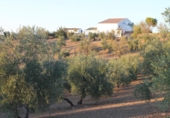 Casa de camp amb terreny en venda a la España, El Gastor, ref.: TR236735 foto