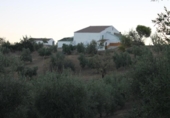 Casa de camp amb terreny en venda a la España, El Gastor, ref.: TR236735 foto