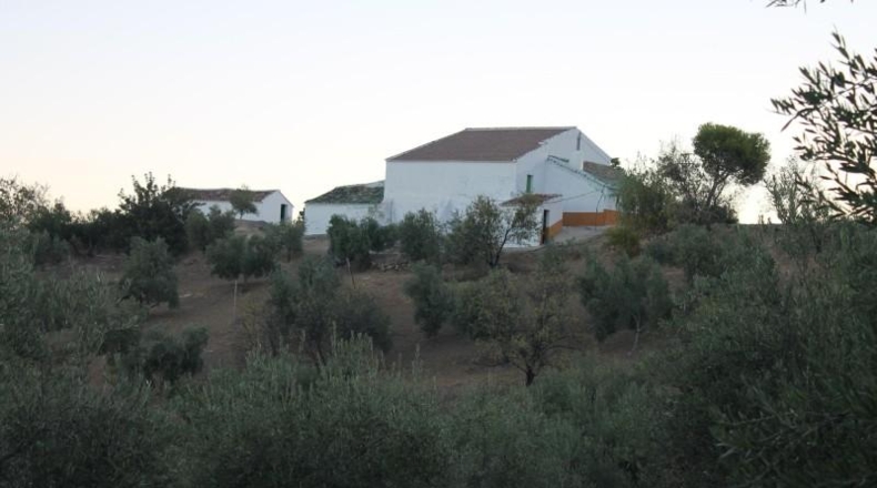 Cadiz - El Gastor - 125000m2