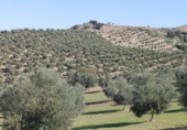 Casa de camp amb terreny en venda a la España, El Gastor, ref.: TR236735 foto