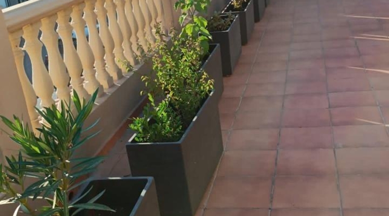 Málaga - Marbella - 273m2