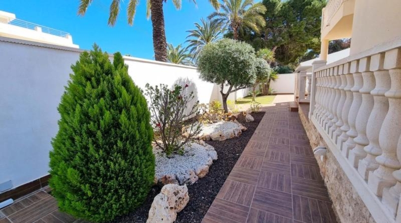 Alicante - Orihuela - 500m2