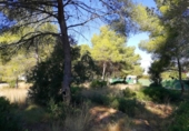 Terreny no urbanitzable en venda a la España, Dénia, ref.: TR196635 foto