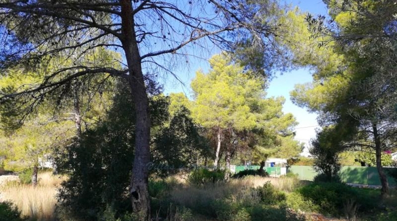 Alicante - Denia - 1400m2
