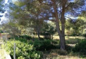 Terreny no urbanitzable en venda a la España, Dénia, ref.: TR196635 foto