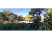 Terreny no urbanitzable en venda a la España, Dénia, ref.: TR196635 foto