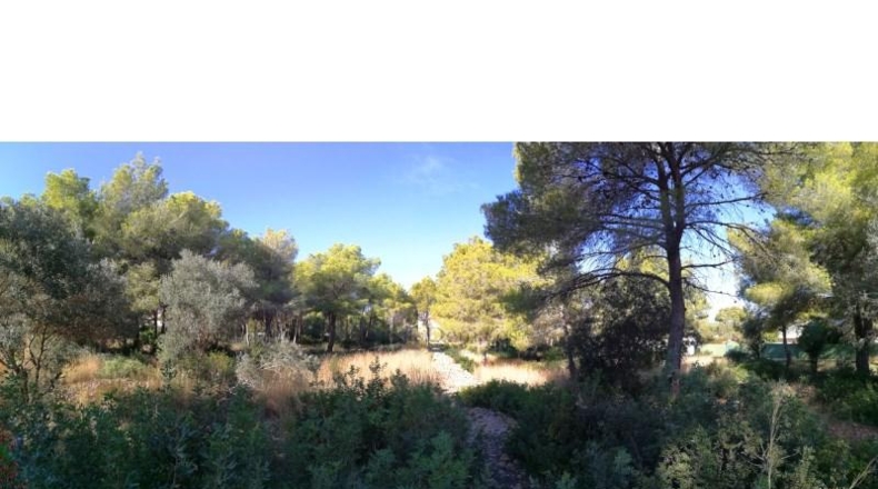 Alicante - Denia - 1400m2