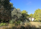 Terreny no urbanitzable en venda a la España, Dénia, ref.: TR196635 foto