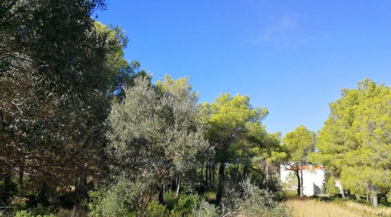 Alicante - Denia - 1400m2