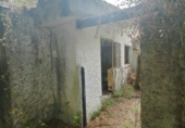 Terreny no urbanitzable en venda a la España, San Roque, ref.: TR115949 foto