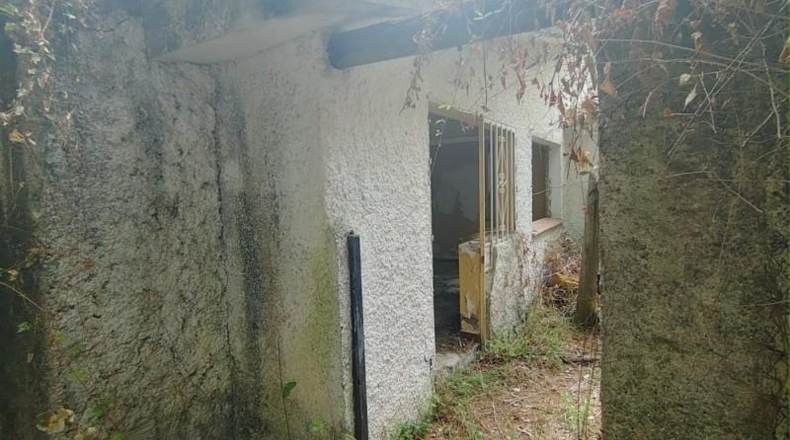 Cádiz - San Roque - 10337m2