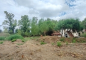 Terreny no urbanitzable en venda a la España, San Roque, ref.: TR115949 foto