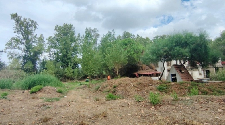 Cádiz - San Roque - 10337m2