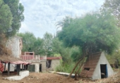 Terreny no urbanitzable en venda a la España, San Roque, ref.: TR115949 foto