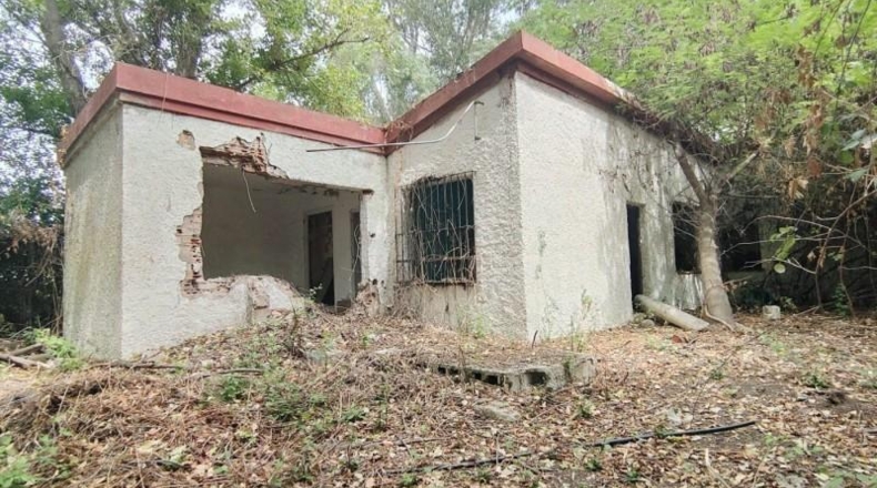 Cádiz - San Roque - 10337m2
