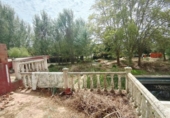 Terreny no urbanitzable en venda a la España, San Roque, ref.: TR115949 foto