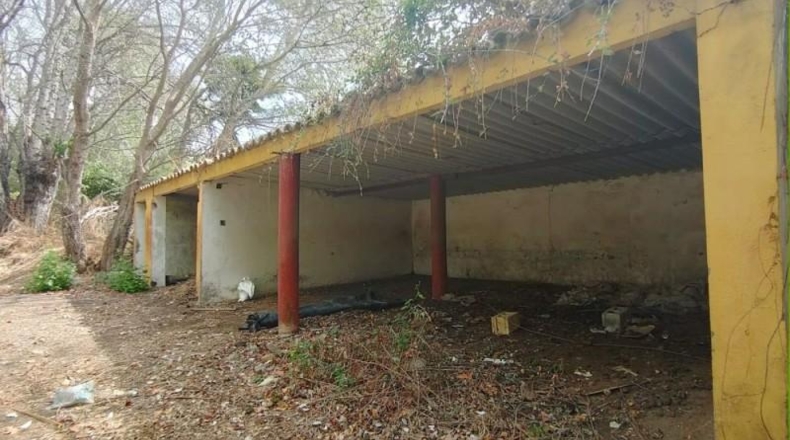 Cádiz - San Roque - 10337m2