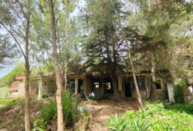 Foto 11