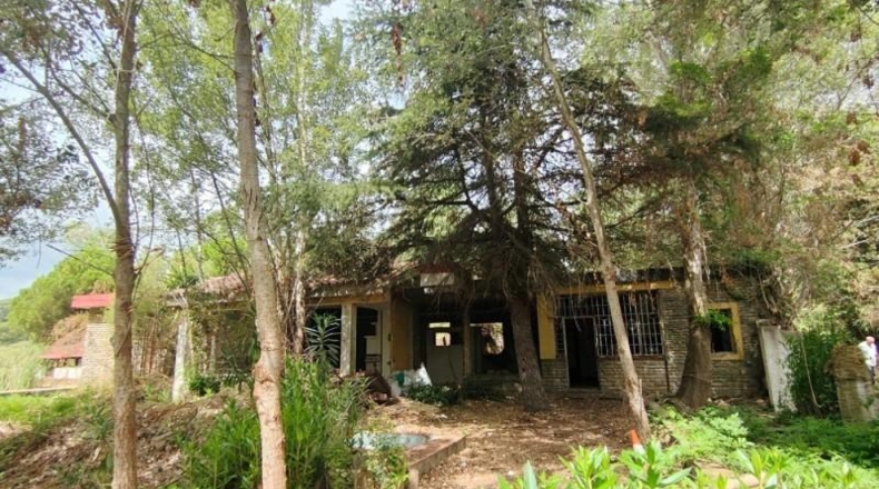 Cádiz - San Roque - 10337m2