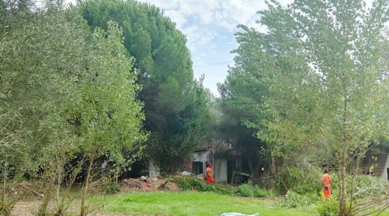Cádiz - San Roque - 10337m2