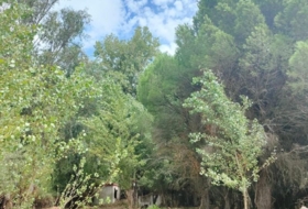 Foto 15