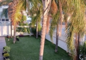 Detached villa with land for sale on España, Gandia, ref: TR162739 photo