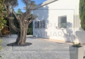 Detached villa with land for sale on España, Bétera, ref: TR157410 photo