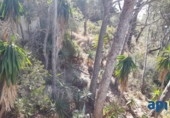 Xalet independent amb terreny en venda a la España, Salou, ref.: TR146442 foto