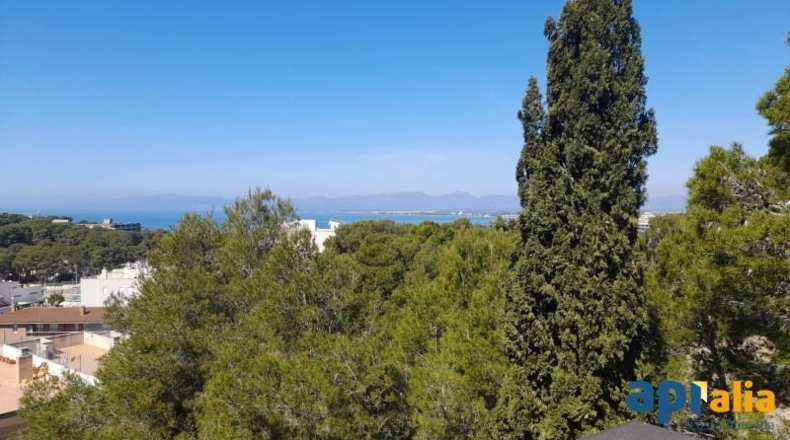 Tarragona - Salou - 801m2