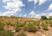 Sòl urbà en venda a la España, Daganzo de Arriba, ref.: TR237220 foto