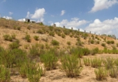 Sòl urbà en venda a la España, Daganzo de Arriba, ref.: TR237220 foto