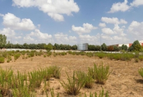 Daganzo de Arriba 8921&nbsp;m²