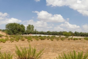 Daganzo de Arriba 8921&nbsp;m²