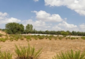 Suelo urbano en venta en la España, Daganzo de Arriba, ref: TR237220 foto