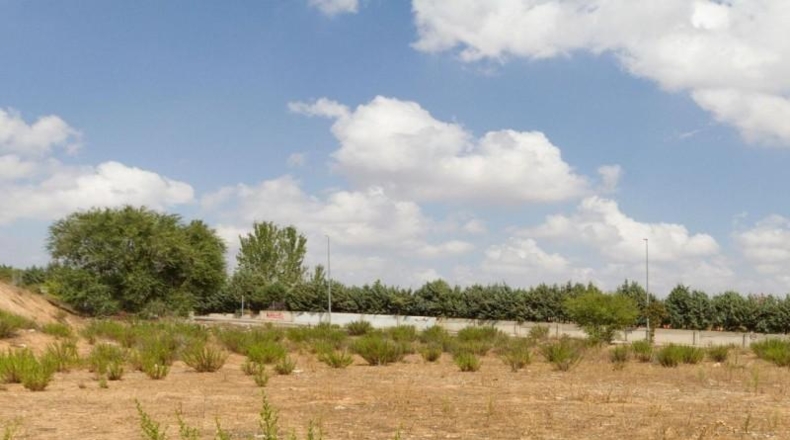 Community of Madrid - Daganzo de Arriba - 8921m2
