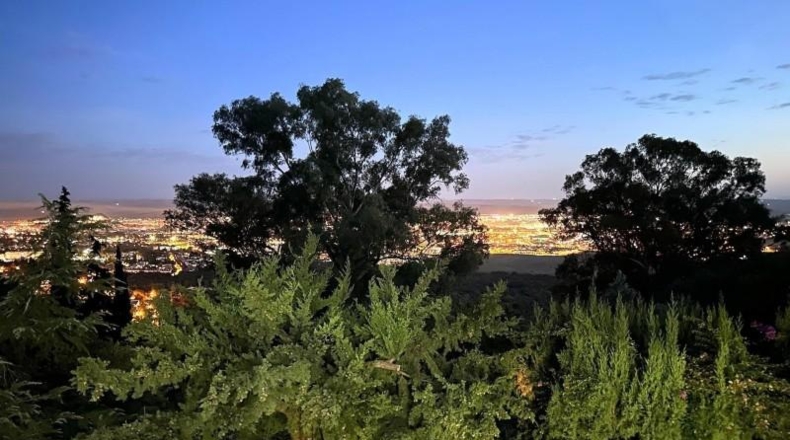Córdoba - Córdoba - 3000m2