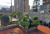 Detached villa with land for sale on España, Gandia, ref: TR365630 photo