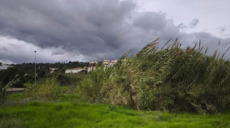 Malaga - Manilva - 7813m2